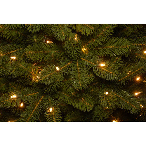 Mercury Row® Slender Green Realistic Artificial Fir Christmas Tree & Reviews Wayfair